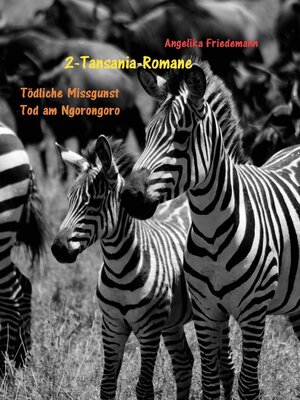 cover image of 2-Tansania-Romane